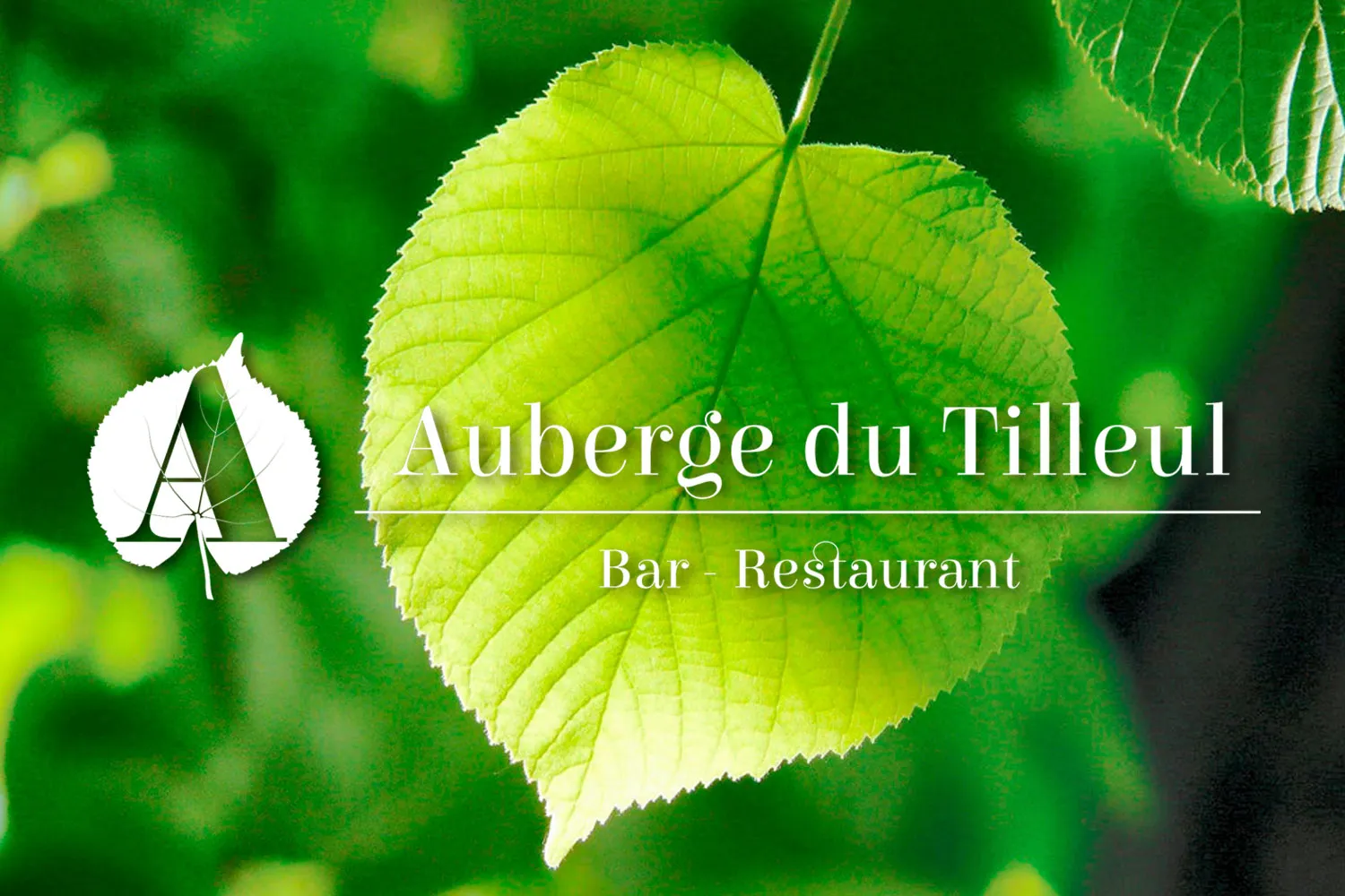 Déclinaison du logo de l'Auberge du Tilleul en version blanche sur un visuel