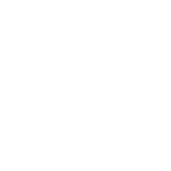 Déclinaison du logo Dominique Maccioni en version blanche