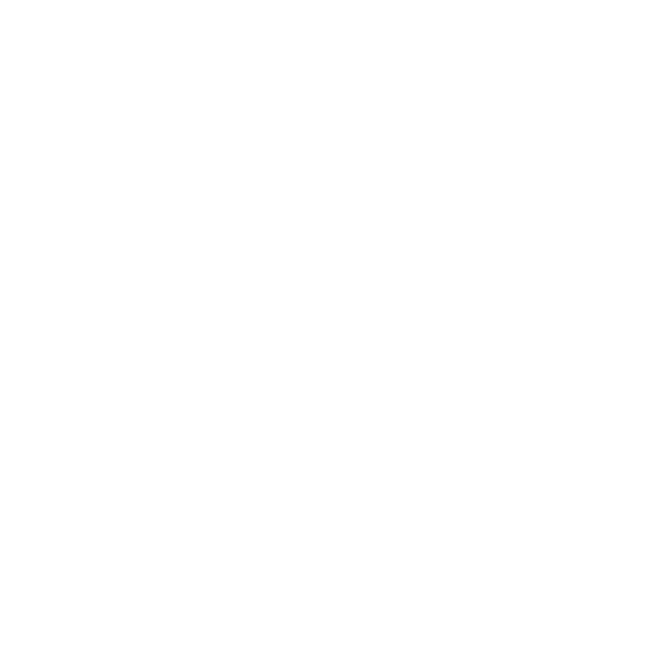 Déclinaison du logo IDP en version blanche