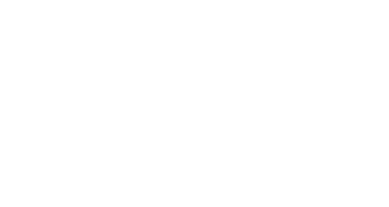Logo-Icam