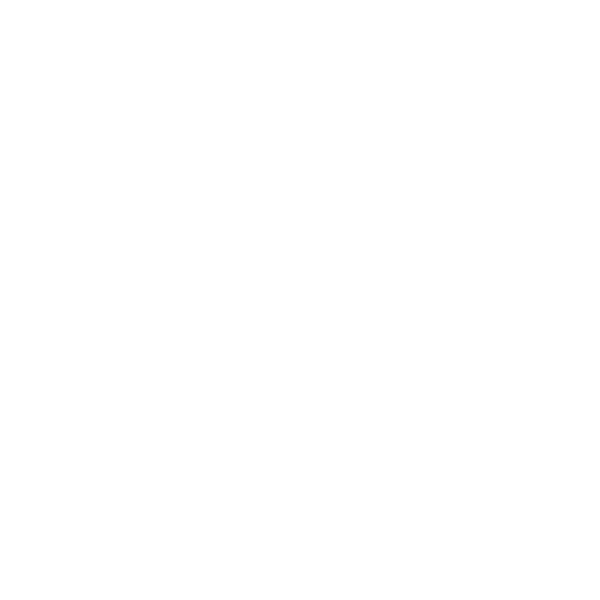 Déclinaison du logo La Broche Italienne en version blanche