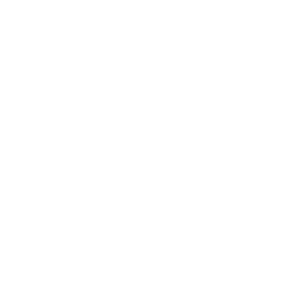 Déclinaison du logo Optima4 en version blanche