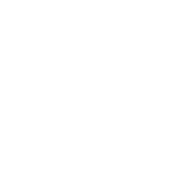Déclinaison du logo SCE en version blanche