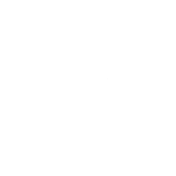 Déclinaison du logo de Schématlantique en version blanche