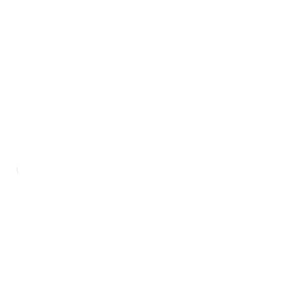 Déclinaison du logo de Secondly en version blanche