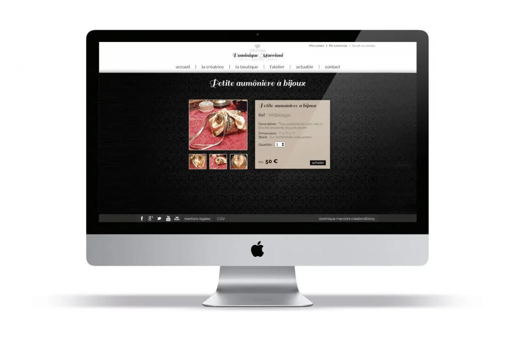 Logo Dominique Maccioni sur Site Internet