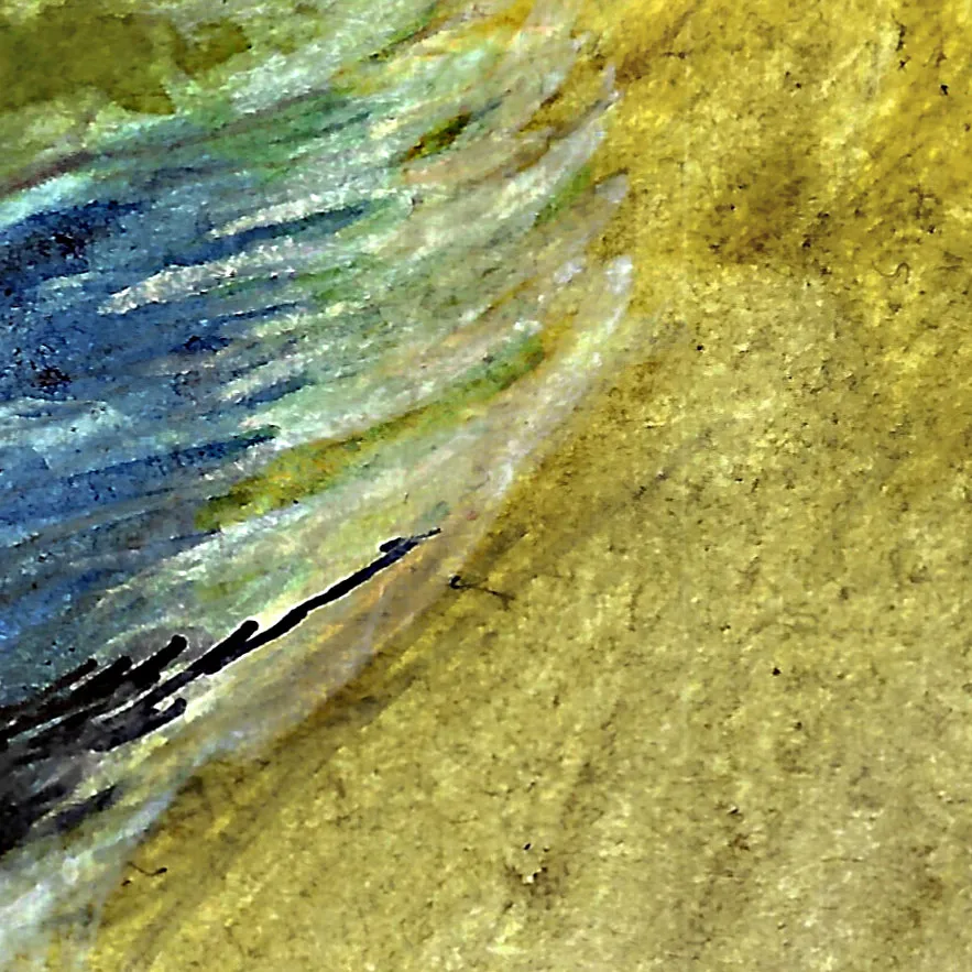 Détail des plumes de l'illustration de Willie la Mésange