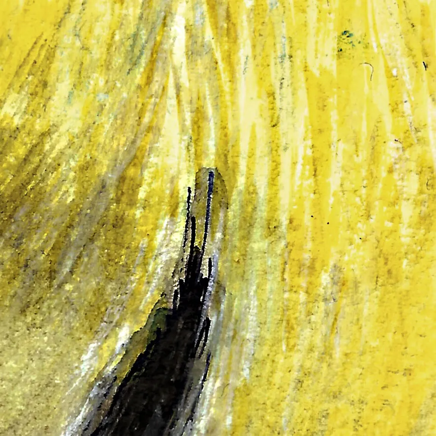 Détail des plumes de l'illustration de Willie la Mésange