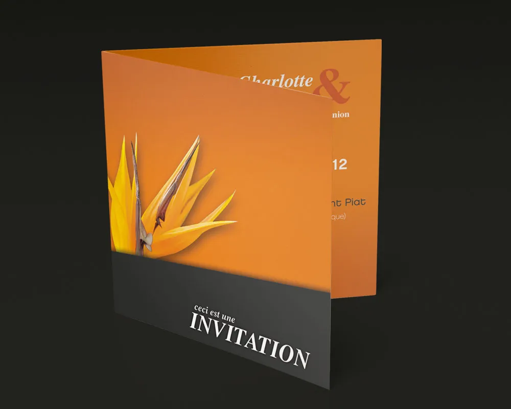 Cartes imprimées pour événements et correspondance, alliant lisibilité, cohérence graphique et qualité d’impression.